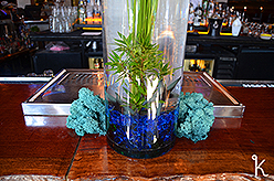 THE AMBER YACHT CLUB